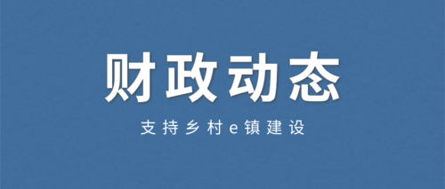 支持乡村e镇建设.png
