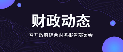 召开政府综合财务报告部署会.jpg